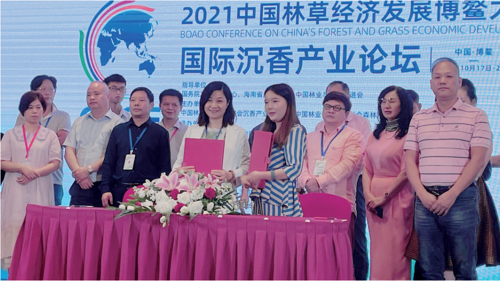 图片 3.png