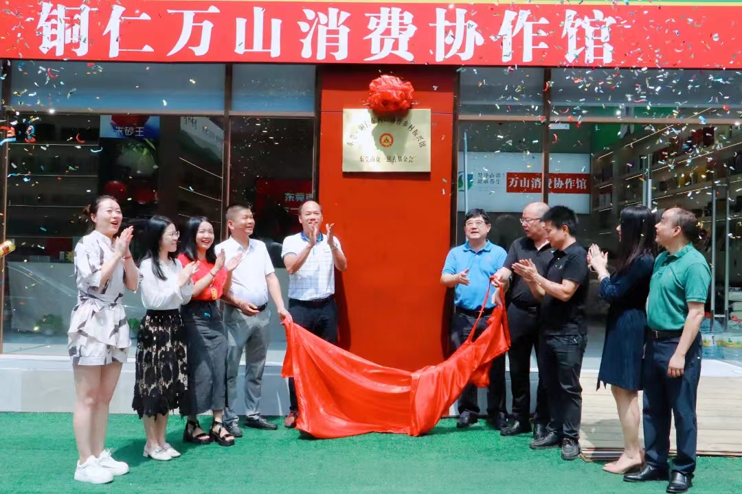 图片 6.png